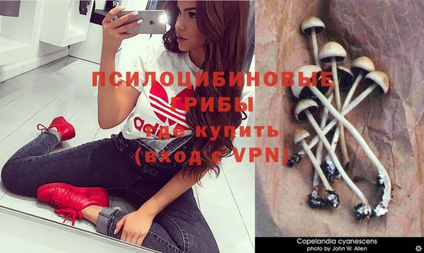эйфоретик Балахна