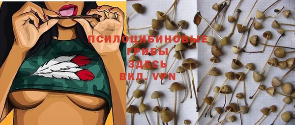 эйфоретик Балахна