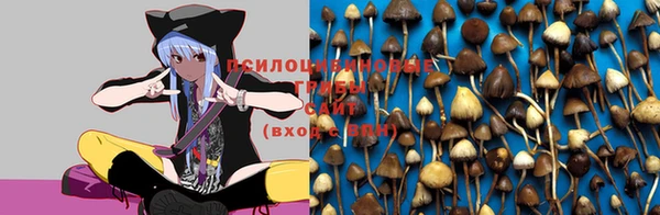 твердый Балабаново