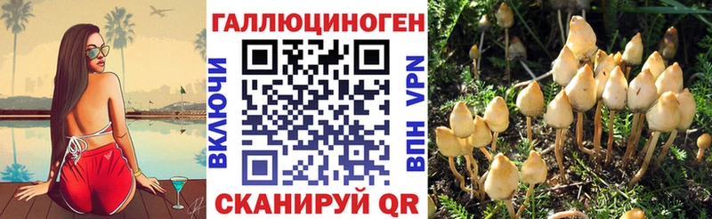 закладка  даркнет формула  Псилоцибиновые грибы Psilocybine cubensis  Юрьев-Польский 